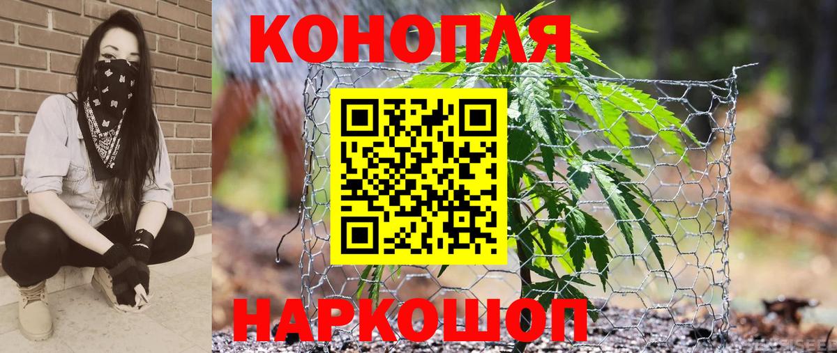 МАРИХУАНА план Избербаш